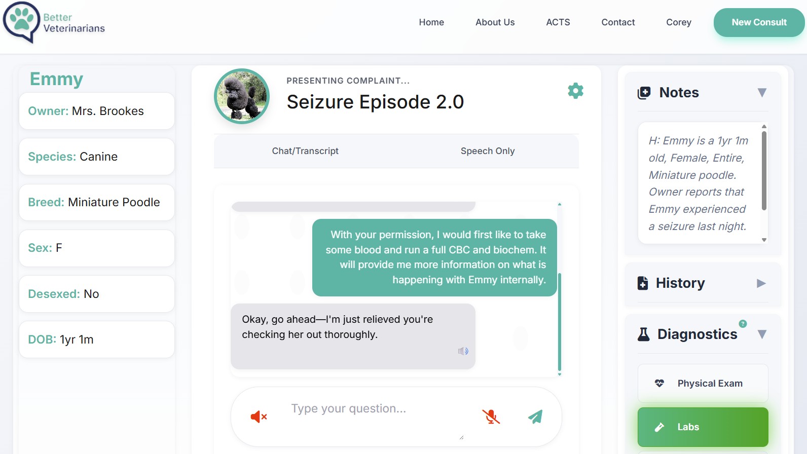 ACTS AI veterinary simulator showing realistic OSCE consultation with AI simulated client veterinary